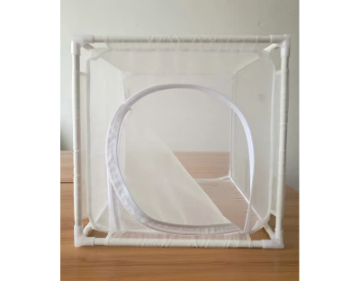 Insect feeding cage