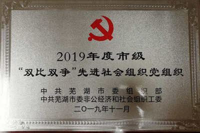 2019年度市级“双比双争”先进社会组织党组织