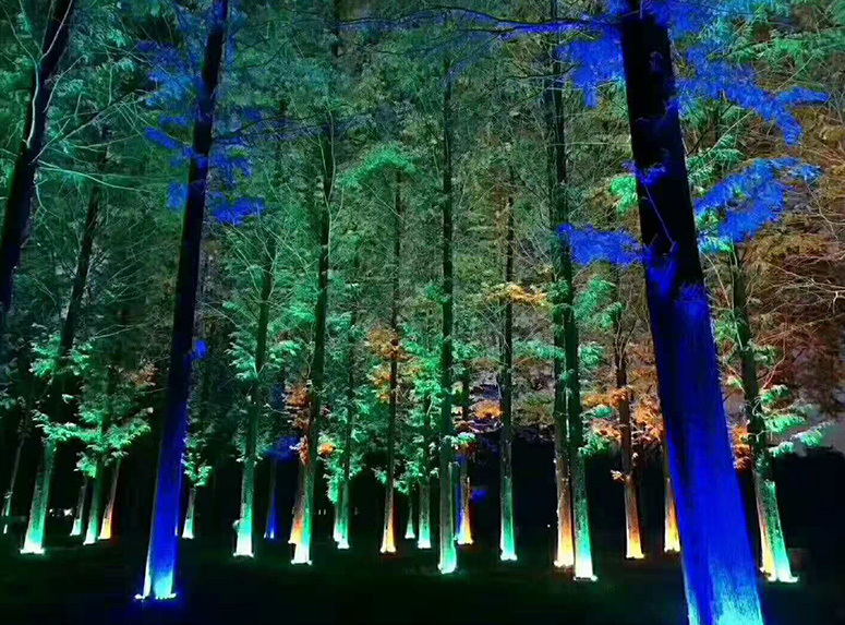 公園樹亮化