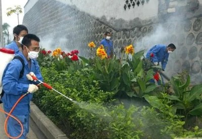 臺江城市發展中新型綠化存在白蟻侵襲的風險