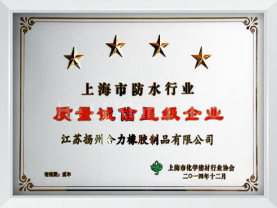 Shanghai Waterproof Industry Quality Integrity Four-Star Enterprise Brand