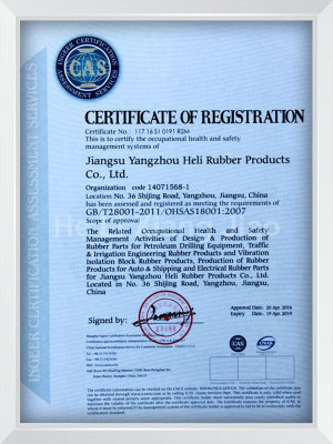 Occupational Health and Safety Management System Certification (English)