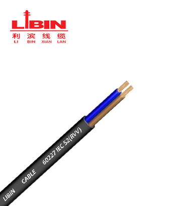 52RVV national Standard cable