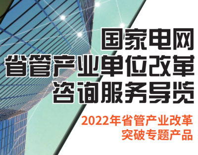 2022年國家電網省管產業單位改革突破年專題咨詢產品手冊