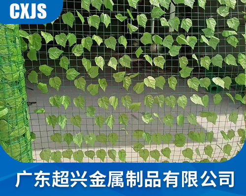 上海绿叶网
