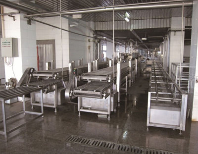 10 meters single row old tofu continuous press