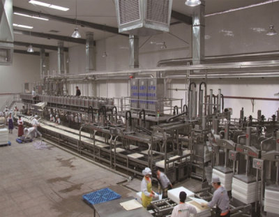 Automatic dried bean curd production line - large line