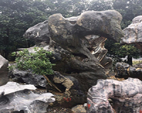 扬州太湖石
