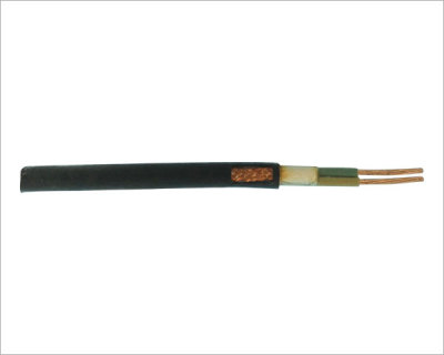 FFP 0.61KV-2X1.5耐高温屏蔽电缆