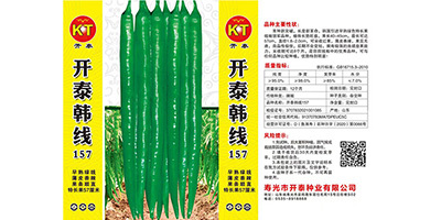 銀川辣椒種子種植方法