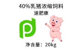 上海40%乳猪浓缩饲料 速肥康