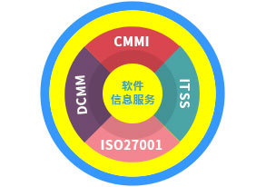 重庆软件和信息服务业企业生态能力建设咨询服务