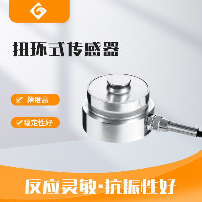 安徽HY-606扭環式傳感器