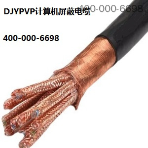 DJYPVP计算机屏蔽电缆