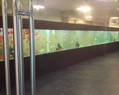 达州温泉酒店12米长鱼缸