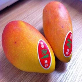 Mango label