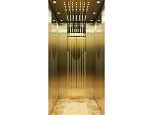 现代别墅电梯YL-XD009
