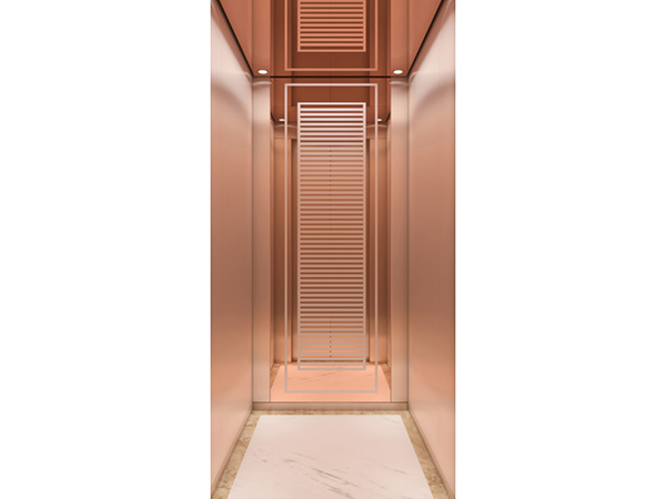 现代别墅电梯YL-XD013