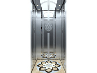 现代别墅电梯YL-XD008