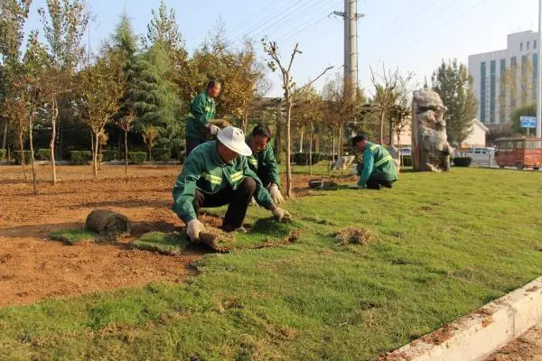 深圳園林綠化工程施工