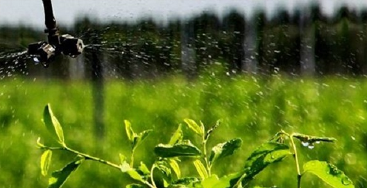 未來農業發展趨勢—甘肅智能灌溉系統