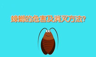 蟑螂的危害有哪些
