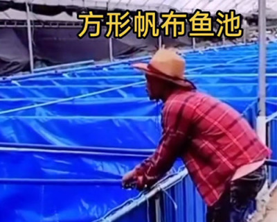 上海刀割布魚池