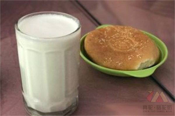 新疆驼奶加盟厂家