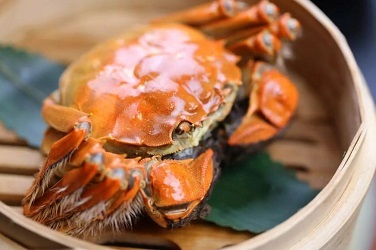 什么人不能吃大闸蟹呢？