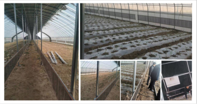 种植业采暖--内蒙古自治区蔬菜大棚(2000平）