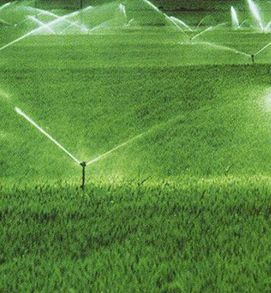 灌溉技術