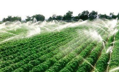 節水灌溉設備