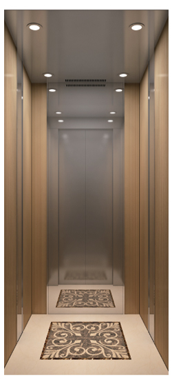 簡約柔和 XD-ZJ02A別墅電梯
