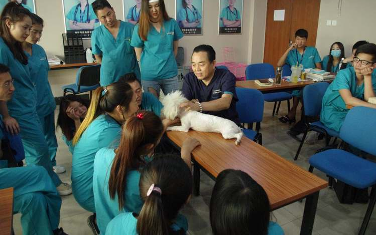 寵物醫生培訓學校