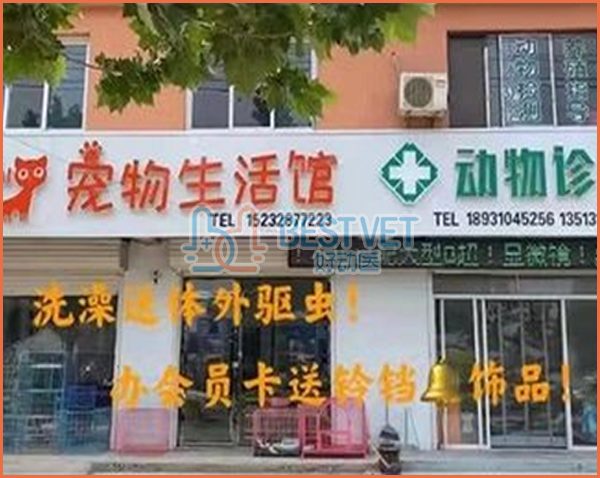 河北省广平市动物诊所