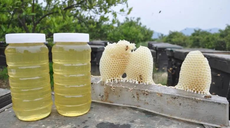 陕西蜂蜜厂家