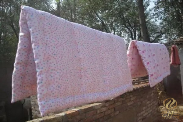 新疆純棉花棉被批發商