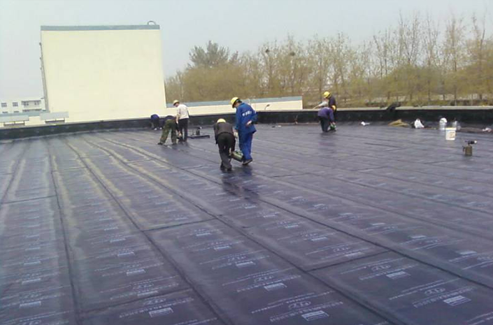 广西屋顶防水施工