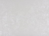 珍珠白-艺术漆代理加盟