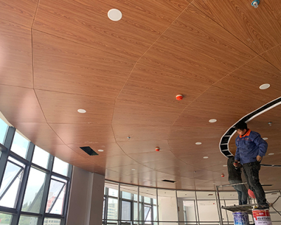 盘州市第一人民医院体检中心内装木纹铝单板及墙面吊顶项目