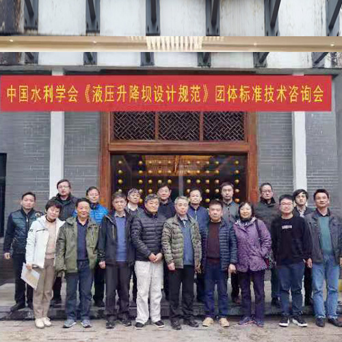 中国水利学会《液压升降坝设计规范》技术咨询会