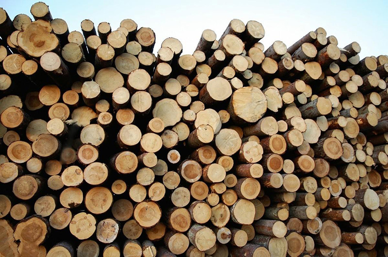 木材加工市場分析