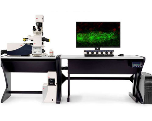 西安激光扫描共聚焦显微镜