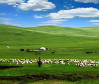 賀州蒙古國旅游
