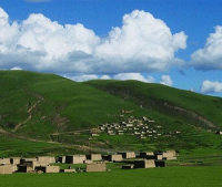 賀州蒙古國旅游之馴鷹