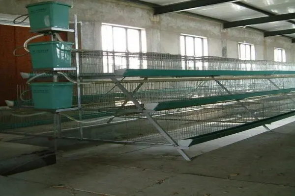 新疆家禽养殖设备厂家