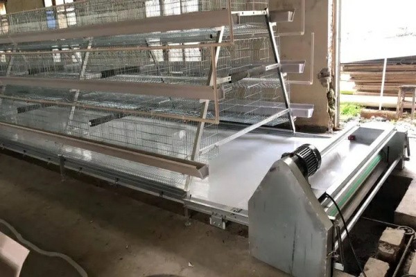 新疆專業的養殖設備