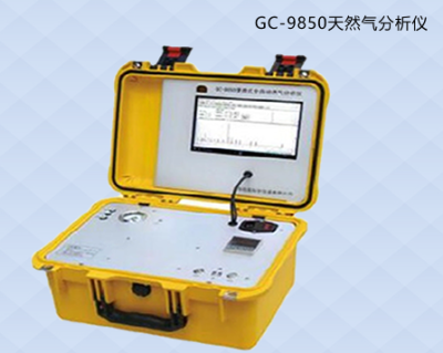 廣西便攜式天然氣熱值檢測分析儀GC-9850