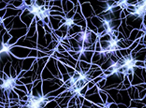阿尔茨海默氏症神经元中体细胞突变的影响