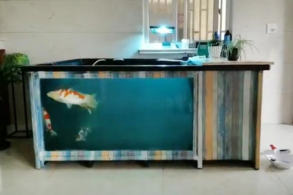 玻璃钢养鱼池视频